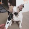 Rover Dog Nail Trimmer™ – Official Retailer