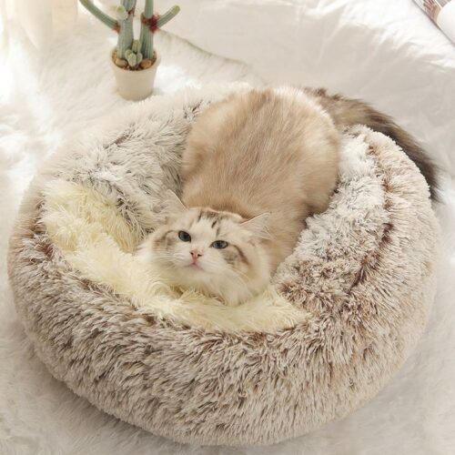 sweetlair™ official retailer – pets bed 2in1