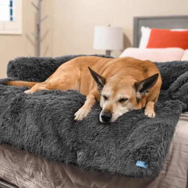 Silkypup® Official Furniture Protector Calming Bed – Official Retailer