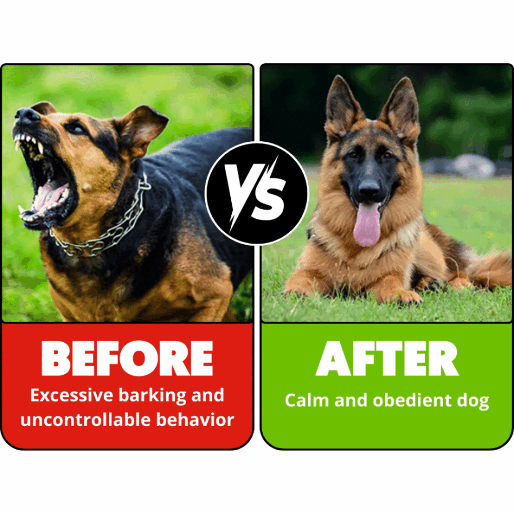 BarkGuard (Official Retailer) 2025