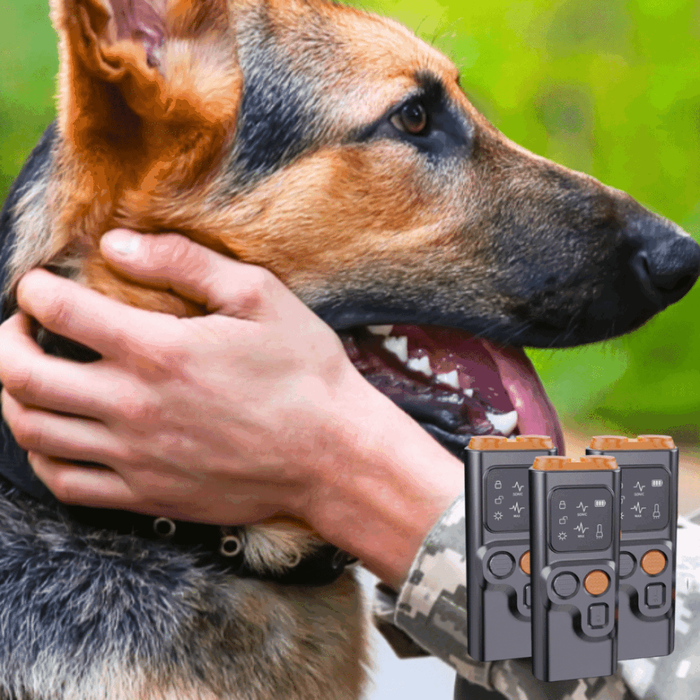 BarkGuard (Official Retailer) 2025