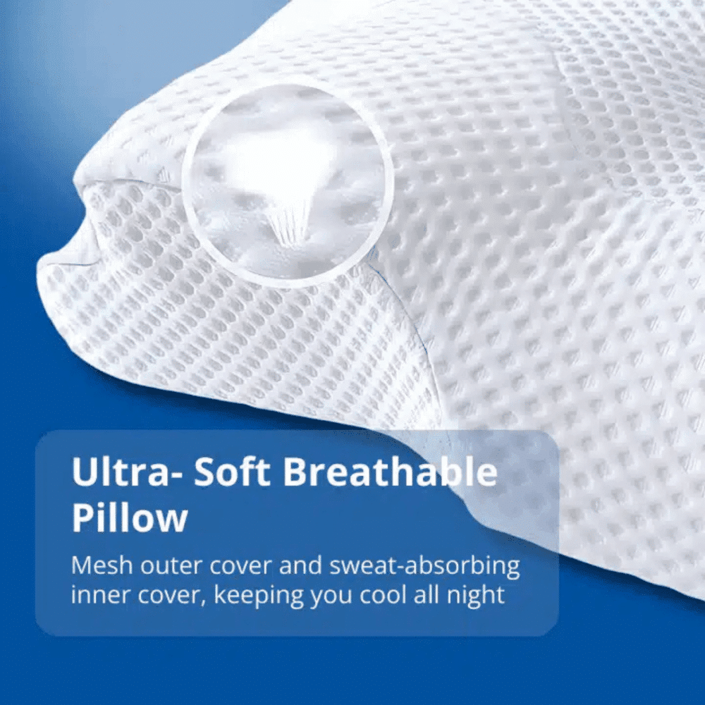 Ergo Z Pillow (Official Retailer) 2025