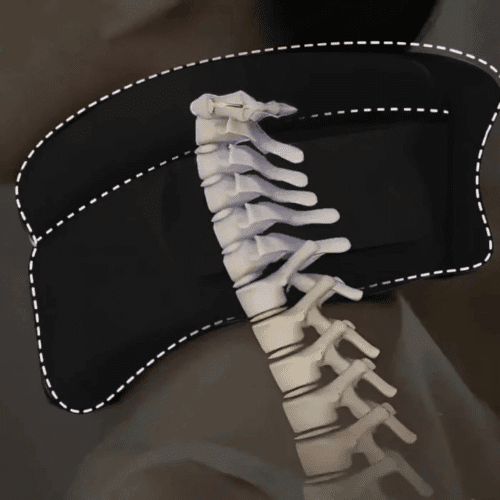 Vitavix Neck Support (Official Retailer) 2025