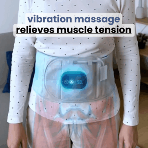 Escovia Back Belt (Official Retailer) 2025