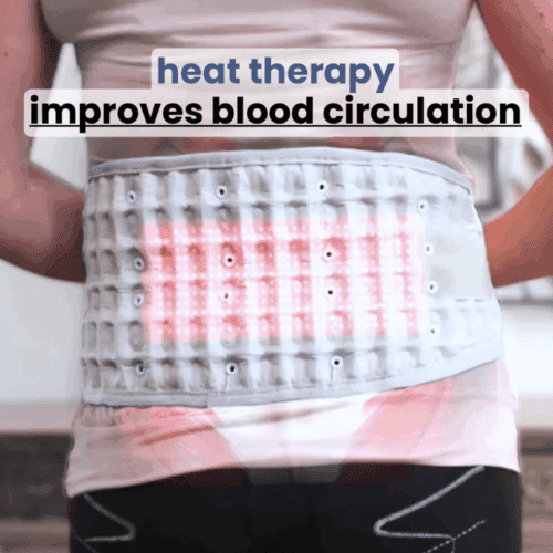 Escovia Back Belt (Official Retailer) 2025