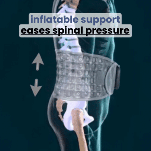 Escovia Back Belt (Official Retailer) 2025