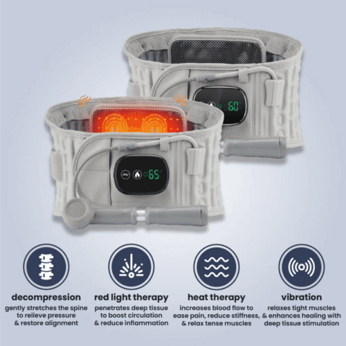 Escovia Back Belt (Official Retailer) 2025