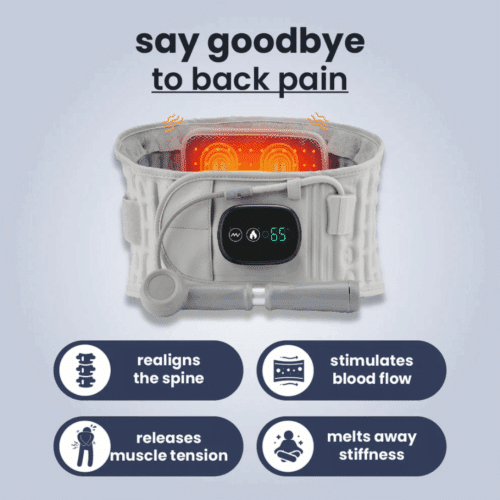 Escovia Back Belt (Official Retailer) 2025