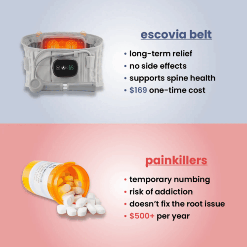 Escovia Back Belt (Official Retailer) 2025