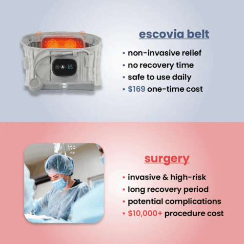 Escovia Back Belt (Official Retailer) 2025