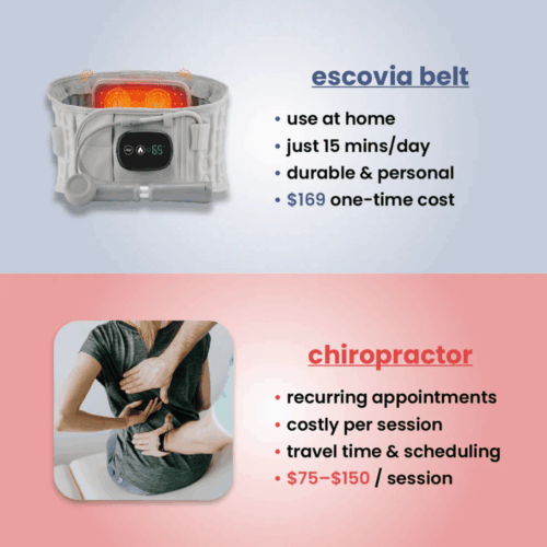 Escovia Back Belt (Official Retailer) 2025