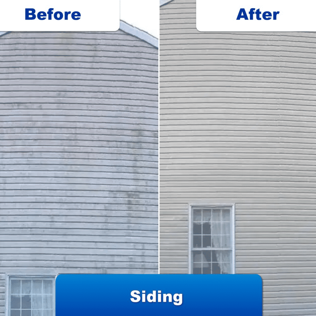 JetHose Pressure Washer (Official Retailer) 2025