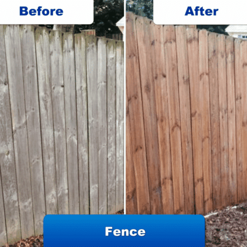 JetHose Pressure Washer (Official Retailer) 2025