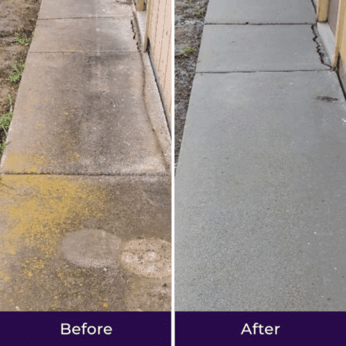 JetHose Pressure Washer (Official Retailer) 2025