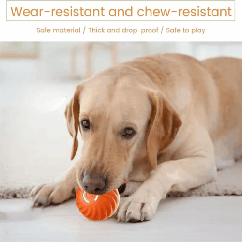 Peppy Pet Ball (Upgraded Version) - Official Retailer