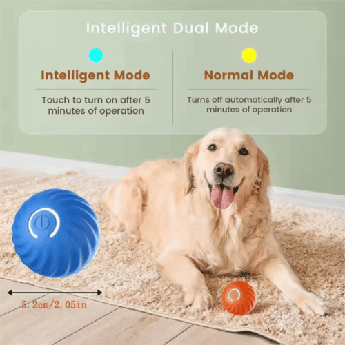 Peppy Pet Ball (Upgraded Version) - Official Retailer