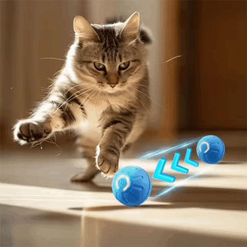 Peppy Pet Ball (Upgraded Version) - Official Retailer