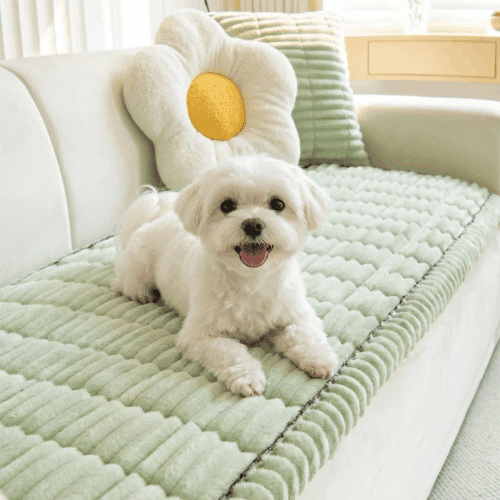 Pawbaby Couch Cover (Official Retailer) [year]