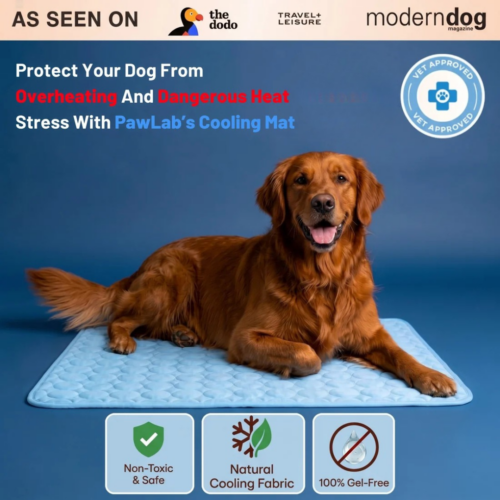 PawLab Cooling Mat (Official Retailer) [year]