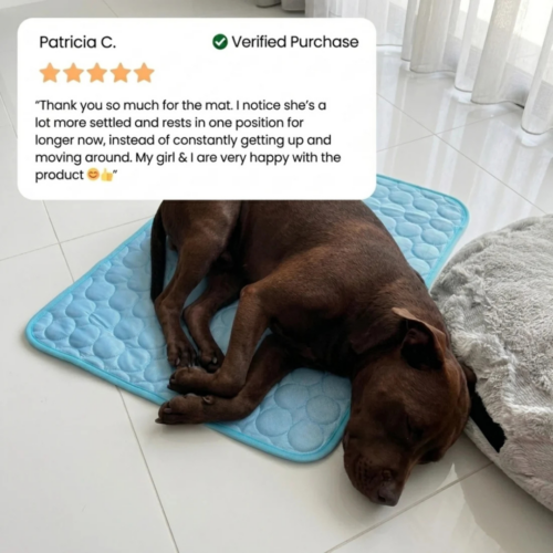 PawLab Cooling Mat (Official Retailer) [year]